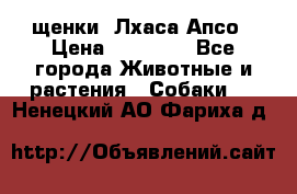 щенки  Лхаса Апсо › Цена ­ 20 000 - Все города Животные и растения » Собаки   . Ненецкий АО,Фариха д.